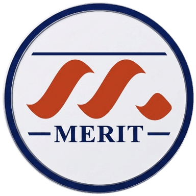 Merit Security Services